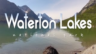 preview picture of video 'The Campers at Waterton Lakes'