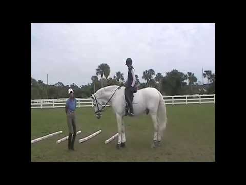 What is a lateral Walk? And how to fix the lateral walk.