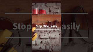 STOP MICE from getting into your Apartment