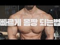 [운동루틴] 근육의 질을 높이는 무분할루틴 노하우 | 운동자극 | 웨이트트레이닝