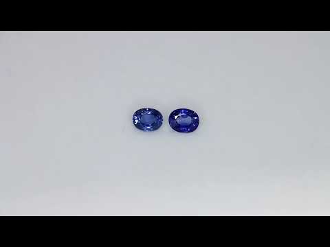 Pair of Blue Sapphire, oval cut, 0.59 ct tot. - Luxedo Gems