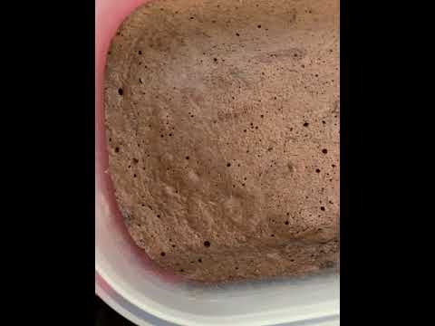 BIZCOCHO DE CHOCOLATE AL MICROONDAS