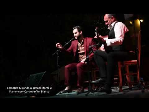 Bernardo Miranda, XXXVII Festival Flamenco de Priego, Córdoba
