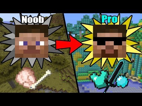 Ultimate&Easy Ways to Transform from NOOB to PRO in Minecraft