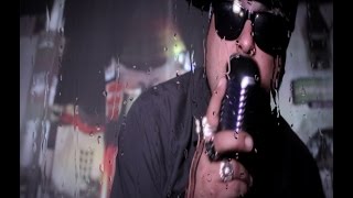 -Right to Left-  The Chimpz (Official Video)