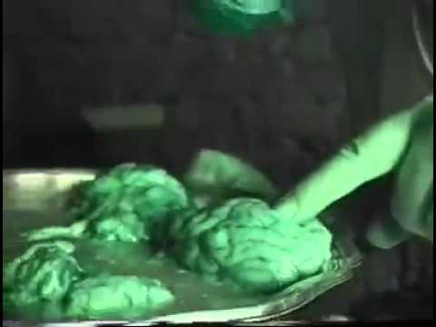 Video thumbnail for Кеды Таптуны И Очки С Перчатками (STAGWG)