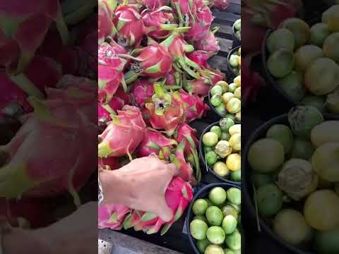 Marla Um pouco de cada coisa. Está ao vivo! Feira de Pedro Canário Espírito Santo#Vem!