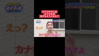 でか！爆乳ちゃん