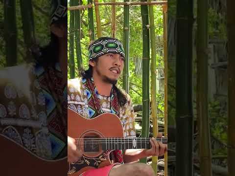 Hawê Rau Tibuya cantos Huni Kuî ( Ixã Txana Huni Kuî)