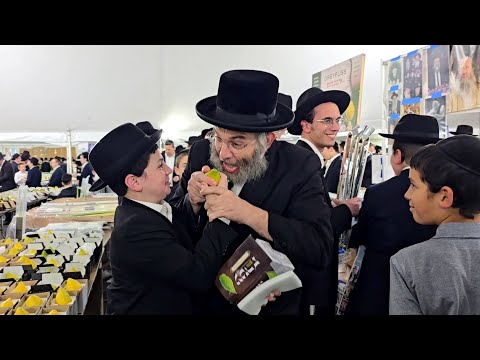 PLEASE… DON’T EAT MY ESROG! | Live With Avrum Halperin at the Lakewood Arba Minim Shuk Across BMG!