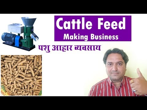 Animal feed business
