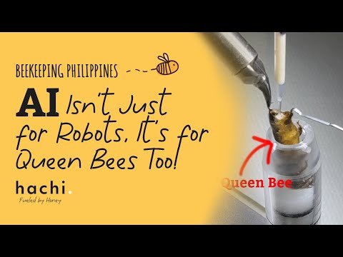 Beekeeping Philippines - What AI Queen Bee Breeding Looks Like