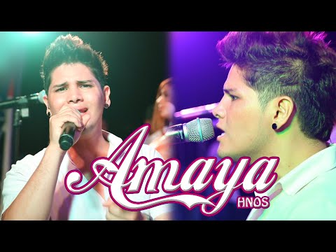 MI AMOR POR ELLA /POR UN RATO /HASTA QUE LLEGASTE TU /NUNCA MAS - AMAYA HNOS (EN VIVO)