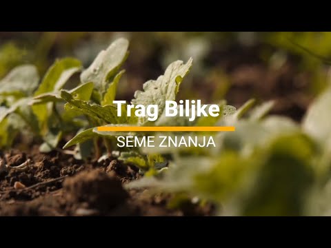 THE FIRST ONLINE REGIONAL GARDENING COMMUNITY (2021) [TRACE OF THE PLANT]