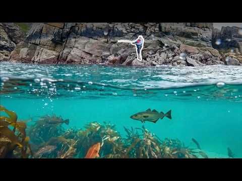 Amazing Underwater Footage - Fishing a Rock Ledge