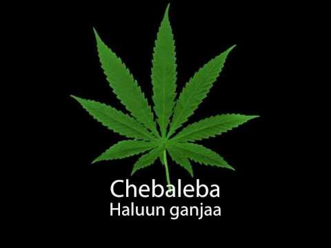 Chebaleba - Haluun ganjaa