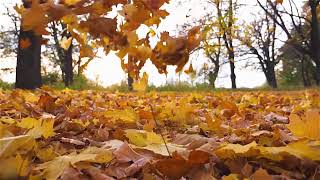 Download lagu SURAH ASY SYAM 100X MERDU METODE UMMI mp3
