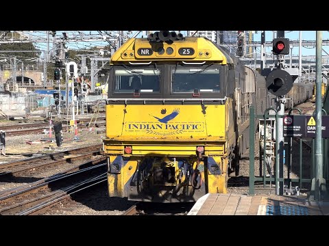 The Indian Pacific Arriving At Central Sydney Terminal