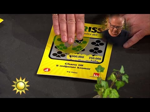 Rolf från Stockholm skrapar triss - Nyhetsmorgon (TV4)