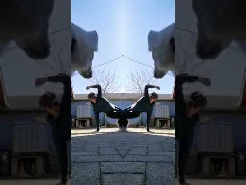 Monument - Eddy Woogy (Mirousha Freestyle cover ft. Orka the dog)