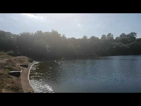 Snitterfield Reservoir, Warwickshire (July 2021)