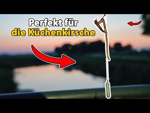 Perch fishing with worms is killing it!