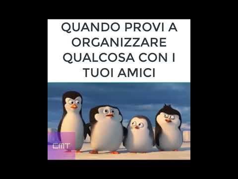 Si va all'avventura 😎 #shorts #memes