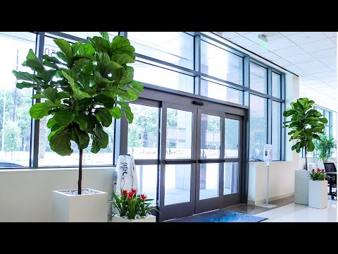 Medical Center Plant Install in the Greater Houston Area