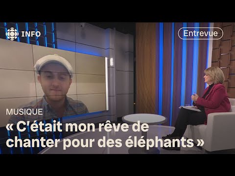 Feathers, the animal singer | 24•60