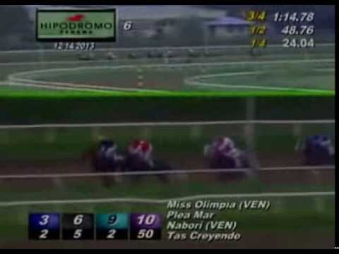 Copa Dama del Caribe 2013