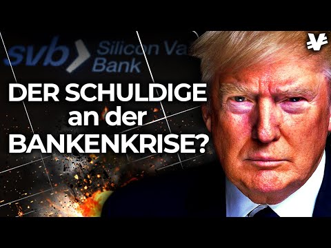 Ist DONALD TRUMP für die BANKEN-KRISE verantwortlich? - VisualEconomik DE