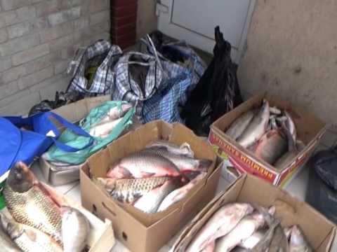 Ştire Etv - Carne şi alcool confiscate din piaţă | 14.10.2015