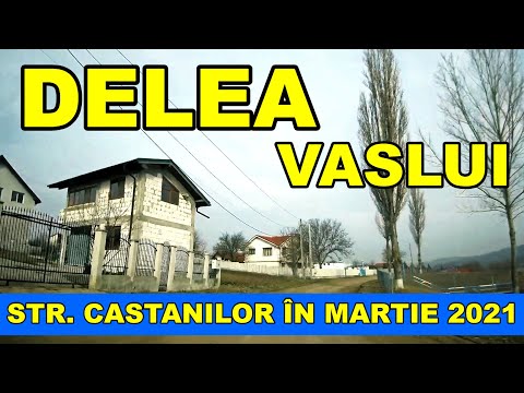 Orasul VASLUI zona Delea str Castanilor la baraj video 4K martie 2021