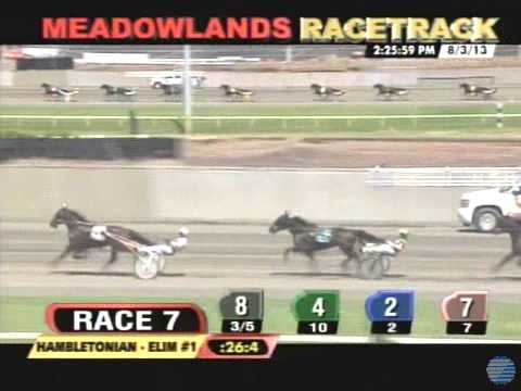 Royalty For Life - 2013 Hambletonian Elimination 1