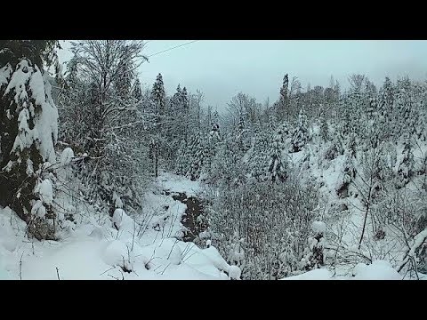 Карпати Природа Сніг Зима.Carpathians Nature Snow Winter.Карпаты Природа Снег Зима.