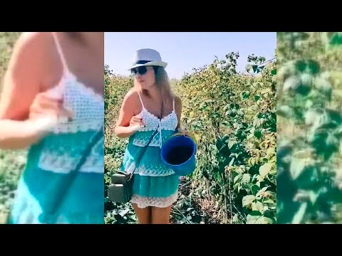 Подводим итоги конкурса на лучшее видео #летосбеларусь4 видео