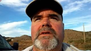 Pickin white gold (ALL OF THE FARMERS ARE PICKING THE CROPS)