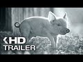 GUNDA Trailer German Deutsch 2021