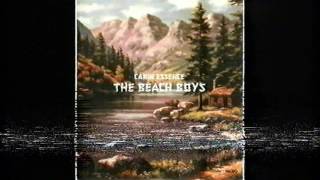 Cabin Essenece hidden vocals (Stereo)