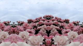 Mayson the soul - Rosa [Lyrics]