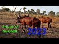 Shule Ya Ng Ombe Mwana Jilunga Ujumbe Wa Asilanichola 2023