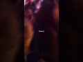 The Way Taylor Supports Selena tiktok selenarelics