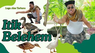 Download lagu Lagu Alas Terbaru 2024 - Itik Belehem -   mp3