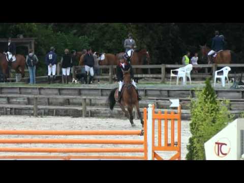 Paraguana des Dames (webstallions.com)