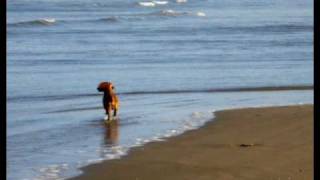 Cidadão Quem - Casa do Sol