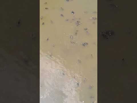 Rio ipojuca caruaru Pernambuco