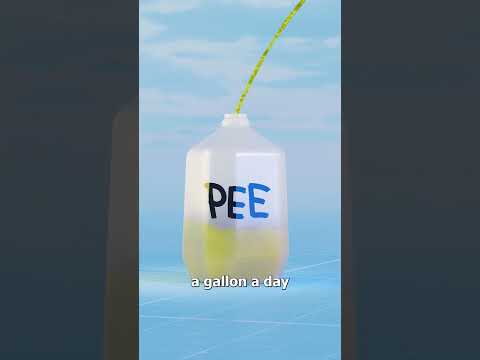 Filling The Grand Canyon With Pee 😳