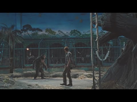 Caesar Says ''No!'' - Prison Break - Rise of the Planet of the Apes (2011) Movie Clip HD