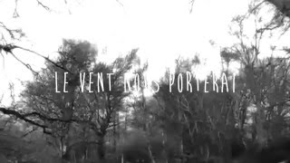 Le vent nous portera - Sophie Hunger (Lyrics Video) with English translation