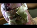 Maggot Therapy Procedure by Jose Elizondo, PA-C, CWS - joey1sniper Maggot Therapy Procedure by Jose Elizondo, PA-C, CWS